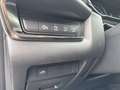 Mazda CX-30 2.5L e-SKYACTIV G 140ps Homura Gris - thumbnail 12