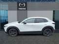 Mazda CX-30 2.5L e-SKYACTIV G 140ps Homura Gris - thumbnail 3