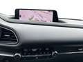 Mazda CX-30 2.5L e-SKYACTIV G 140ps Homura Gris - thumbnail 11