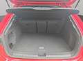 Audi RS3 RS 3 Sportback 2.5 TFSI RS Sportabgas Rouge - thumbnail 18
