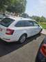 Skoda Octavia Combi 1,6 TDI Style - thumbnail 7