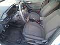 Ford Fiesta 1.0 Ecoboost Hybrid 125 CV 5 porte ST-Line Bianco - thumbnail 11