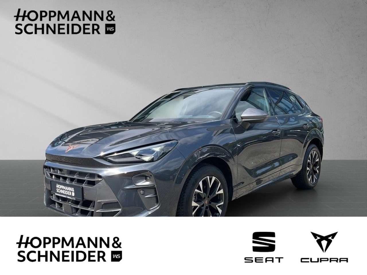 Cupra Terramar — Cupra Terramar 1.5 eTSI DSG Navi LED Klimaautomatik