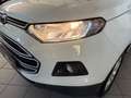 Ford EcoSport 1.5 110 CV Business Wit - thumbnail 4