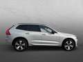 Volvo XC60 T8 AWD PHEV Plus Dark 360°+PANO+AHK+GJR Серебристый - thumbnail 6