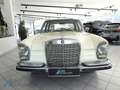 Mercedes-Benz 250 SE (W108)*KUNDENVERKAUF*PICKERL NEU* Weiß - thumbnail 3