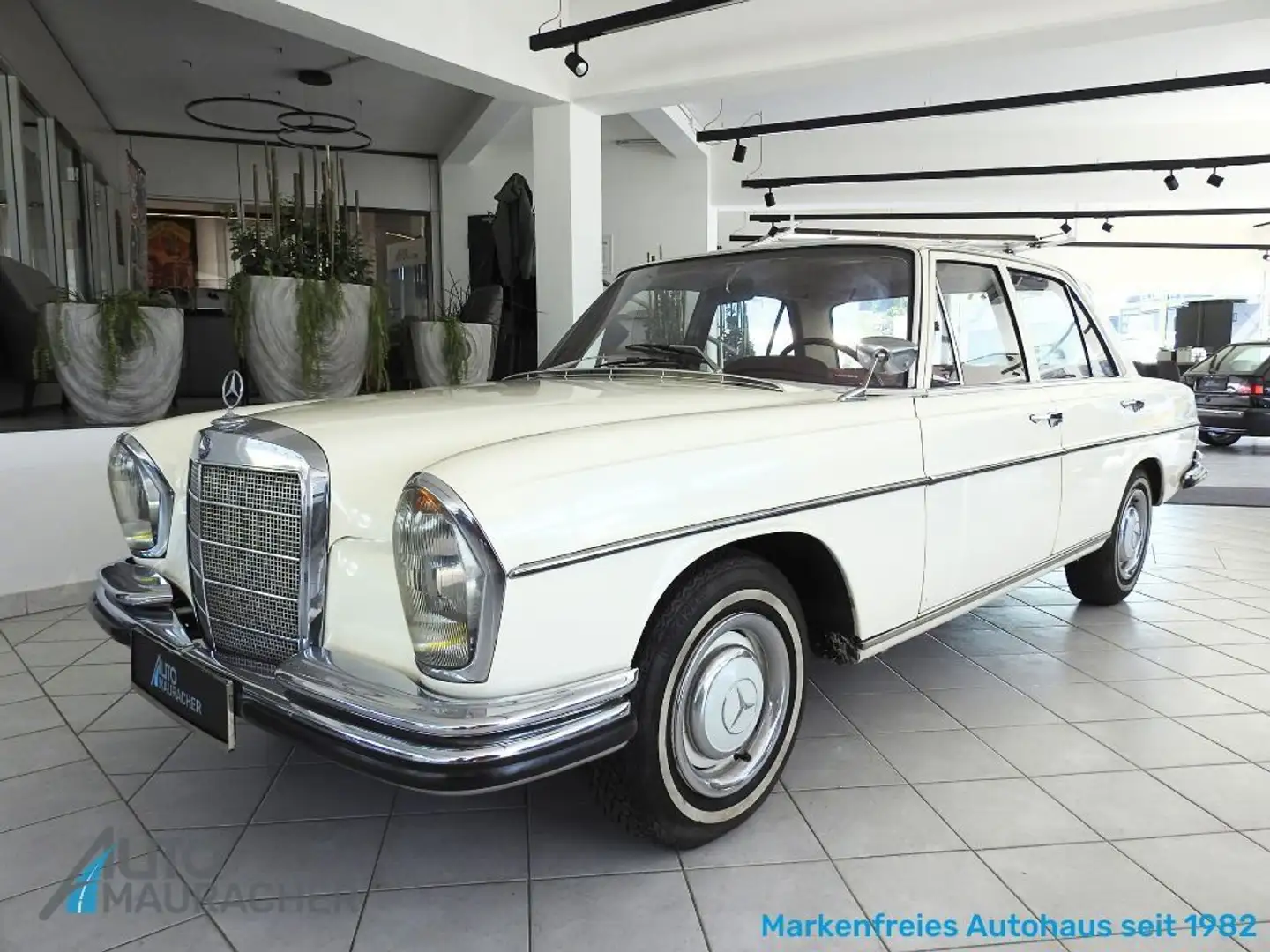 Mercedes-Benz 250 SE (W108)*KUNDENVERKAUF*PICKERL NEU* Weiß - 1
