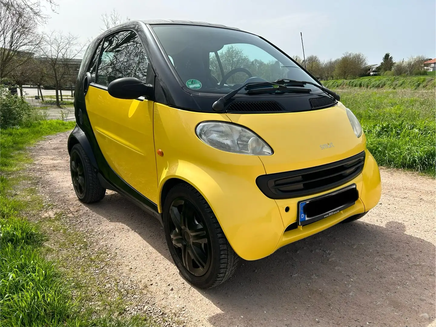 smart city-coupé/city-cabrio & pure Žlutá - 1