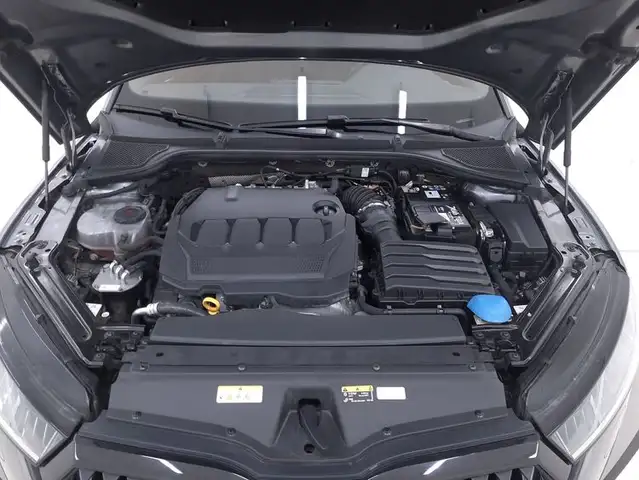 Skoda Octavia view 13