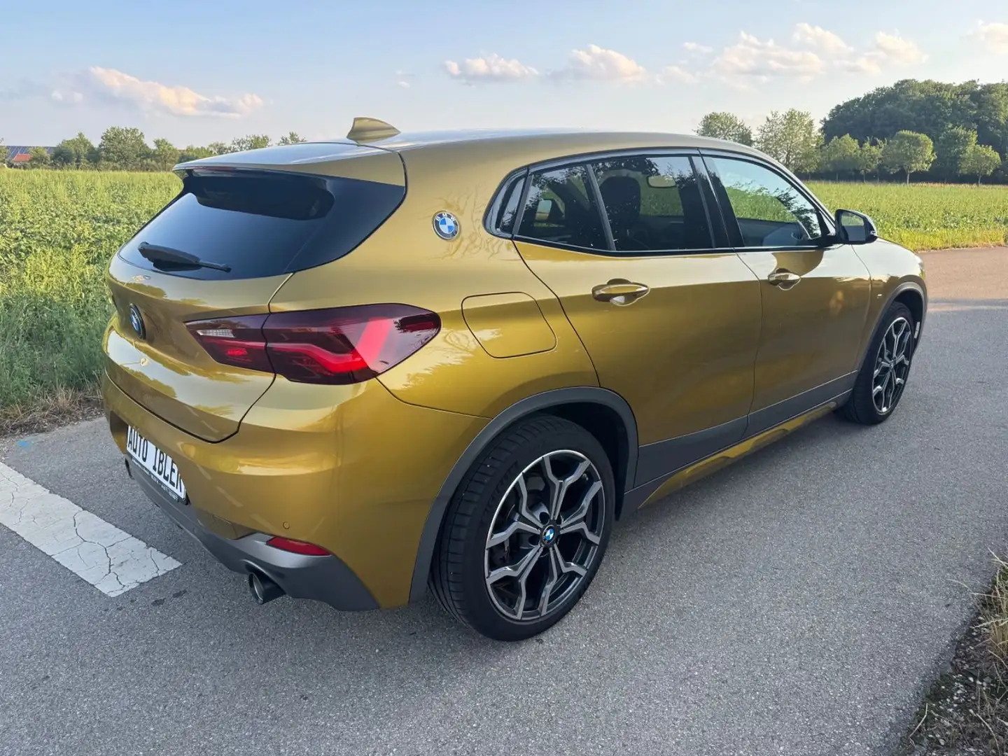 BMW X2 xDrive 20 i M Sport X,DAB,NaviPof,Sportsitze - 1