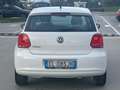 Volkswagen Polo Polo 5p 1.2 Comfortline 70cv NEOPATENTATI OK!!! Bianco - thumbnail 5