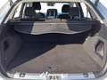 Ford Edge 2.0 TDCI 210 CV AWD Automatica S&S Titanium Bianco - thumbnail 22