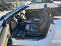 Audi A5 Cabrio 3,0 TDI V6 quattro Autom. 239PS topAusstatt Weiß - thumbnail 19
