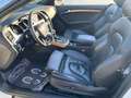 Audi A5 Cabrio 3,0 TDI V6 quattro Autom. 239PS topAusstatt Weiß - thumbnail 14