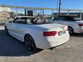 Audi A5 Cabrio 3,0 TDI V6 quattro Autom. 239PS topAusstatt Weiß - thumbnail 20