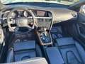 Audi A5 Cabrio 3,0 TDI V6 quattro Autom. 239PS topAusstatt Weiß - thumbnail 17