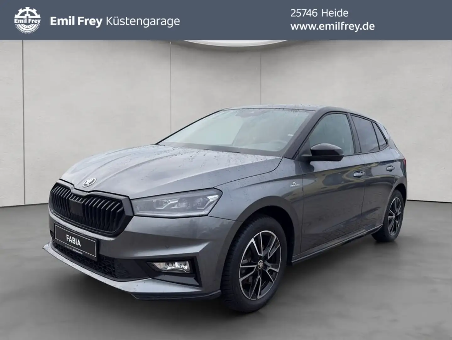 Skoda Fabia Monte Carlo 1.0l TSI 6-Gang ACC NAVI KLIMA Grau - 1