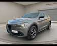Alfa Romeo Stelvio - Stelvio 2.2 Turbodiesel 210 CV AT8 Q4 Business Grigio - thumbnail 2
