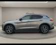 Alfa Romeo Stelvio - Stelvio 2.2 Turbodiesel 210 CV AT8 Q4 Business Grigio - thumbnail 9