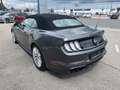 Ford Mustang Cabrio 5.0 Ti-VCT V8 GT Automatik Gris - thumbnail 8
