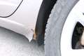 SEAT Leon ST Executive 1,6 TDI CR 4Drive Grau - thumbnail 14