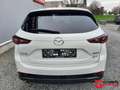 Mazda CX-5 2.0L Skyactiv-G 165PK Homura 6AT Blanc - thumbnail 7