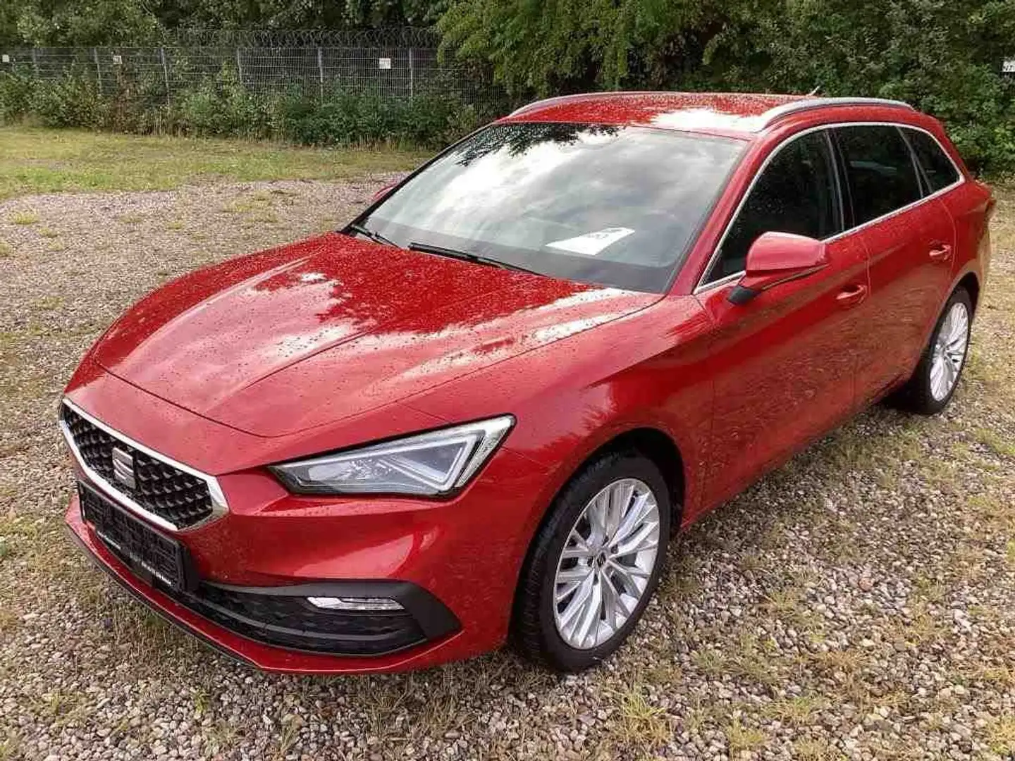 SEAT Leon SP 1.5 eTSI DSG XCELLENCE *BEATS *LED *ACC *RKAM Rot - 2