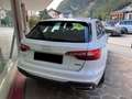 Audi A4 A4 Avant 40 2.0 tdi Business quattro 190cv stronic Blanc - thumbnail 7