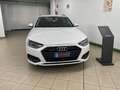 Audi A4 A4 Avant 40 2.0 tdi Business quattro 190cv stronic Blanc - thumbnail 25