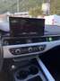 Audi A4 A4 Avant 40 2.0 tdi Business quattro 190cv stronic Blanc - thumbnail 12