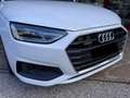 Audi A4 A4 Avant 40 2.0 tdi Business quattro 190cv stronic Blanc - thumbnail 5