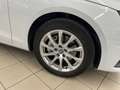 Audi A4 A4 Avant 40 2.0 tdi Business quattro 190cv stronic Blanc - thumbnail 27