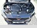 CUPRA Formentor 1.5 TSI DSG Tribe Edition LED RFK SHZ Klima RFK PD Noir - thumbnail 14