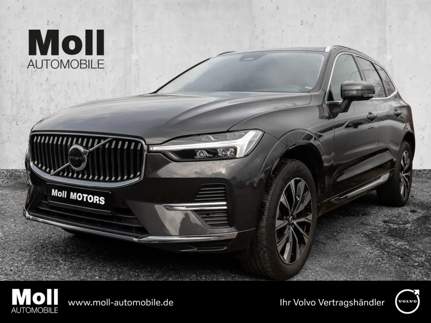 Volvo XC60 Plus Bright 2WD B4 Benzin EU6d digitales Cockpit M Grau - 1