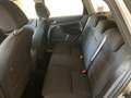 Ford Focus Focus Style Wagon 1.6 tdci Titanium 90cv Argento - thumbnail 8