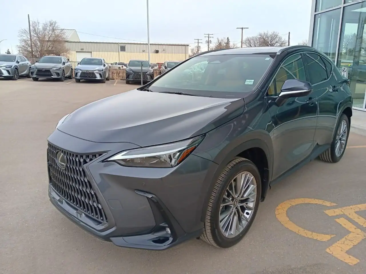 Lexus NX снимка Lexus NX