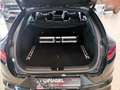 Kia ProCeed / pro_cee'd 1.6 TGDI DCT GT Komfort Pano|RFK|ACC|Navi|LED Schwarz - thumbnail 15