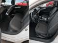 Audi A5 Sportback 2.0TDI 110kW - thumbnail 3
