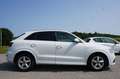Audi Q3 2,0 TDI quattro Sport S-tronic Weiß - thumbnail 6