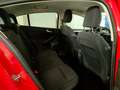 Ford Focus 5p 1.0 Ecoboost 100cv Business Rosso - thumbnail 12