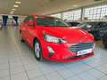 Ford Focus 5p 1.0 Ecoboost 100cv Business Rosso - thumbnail 8