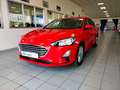 Ford Focus 5p 1.0 Ecoboost 100cv Business Rosso - thumbnail 1