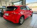 Ford Focus 5p 1.0 Ecoboost 100cv Business Rosso - thumbnail 14