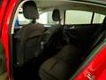 Ford Focus 5p 1.0 Ecoboost 100cv Business Rosso - thumbnail 5