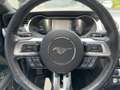 Ford Mustang 5.0 Ti-VCT V8 Mach 1 LED+Navi+SHZ+Kam. Gris - thumbnail 19