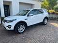 Land Rover Discovery Sport Discovery Sport 2.0 TD4 150 CV SE Wit - thumbnail 1