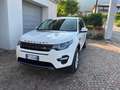 Land Rover Discovery Sport Discovery Sport 2.0 TD4 150 CV SE Wit - thumbnail 2