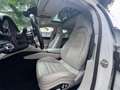 Porsche Panamera 2.9 4 E-Haybrid Service Porsche Full Optional Bianco - thumbnail 13