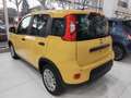 Fiat Panda Panda 1.0 Firefly Hybrid Jaune - thumbnail 9