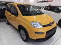 Fiat Panda Panda 1.0 Firefly Hybrid Jaune - thumbnail 3
